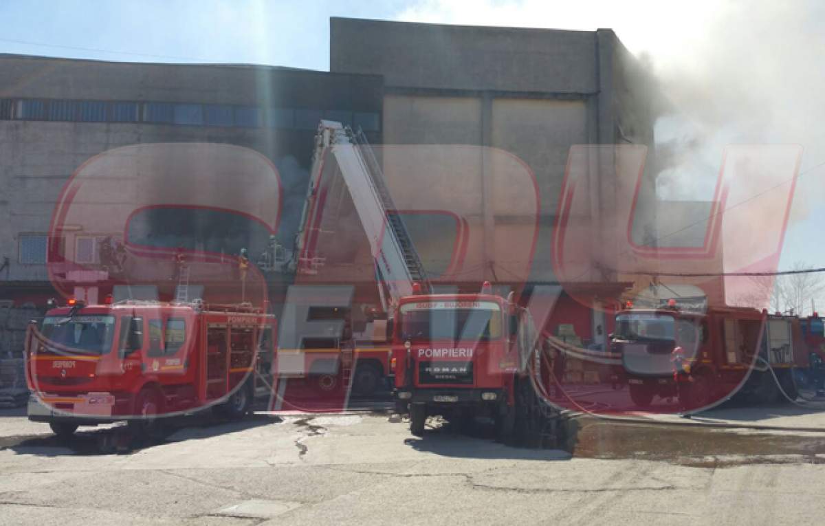 Incendiu în Capitală! Un depozit a fost cuprins de flăcări / VIDEO