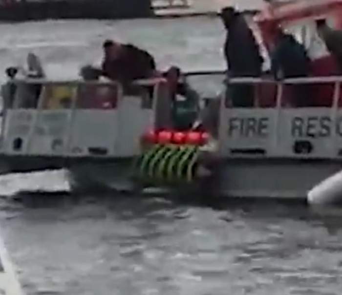 VIDEO / Momentul terifiant în care românca rănită grav în Anglia a fost salvată din Tamisa! Cum a fost trasă din râu