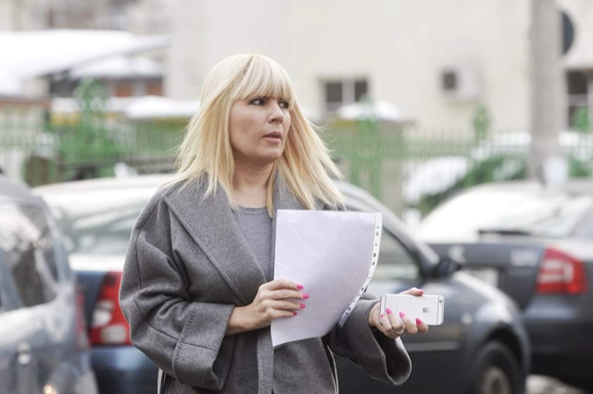 Dosarul "Gala Bute" a ajuns la final!  Elena Udrea, condamnată la 6 ani de închisoare