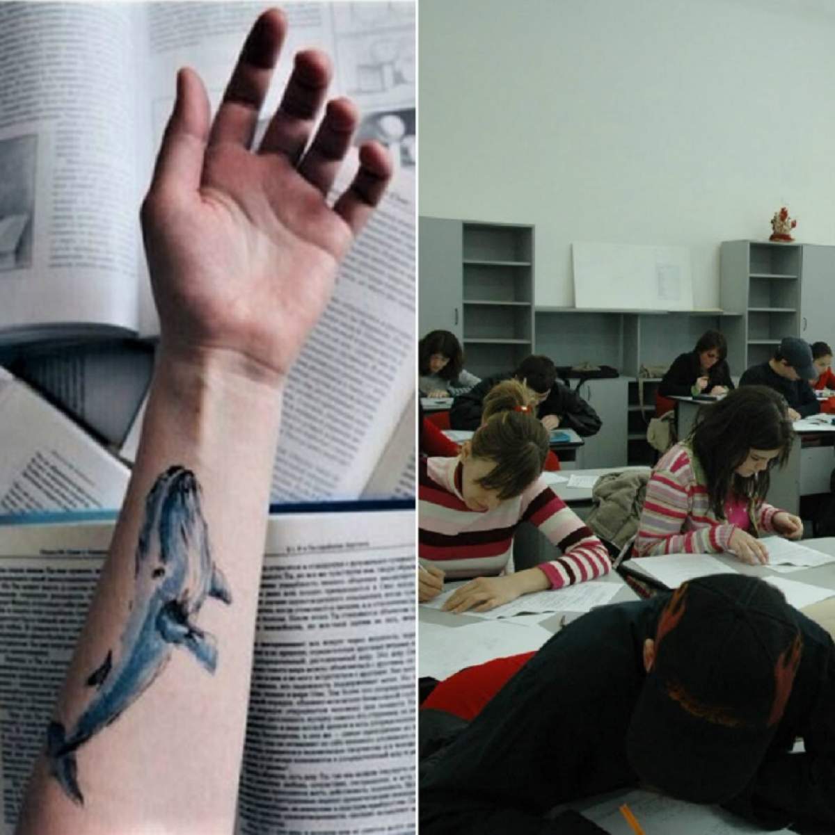 "Balena Albastră", într-un liceu din Buzău! Doi elevi au fost ridicaţi de la ore