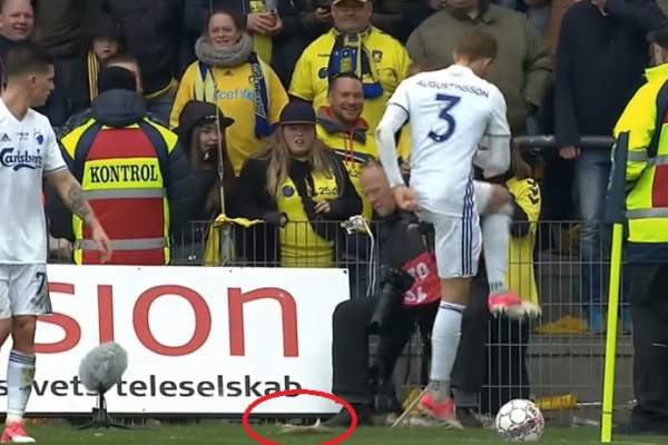 Momente HORROR la derby-ul Danemarcei! Fanii au aruncat cu şobolani pe teren / VIDEO