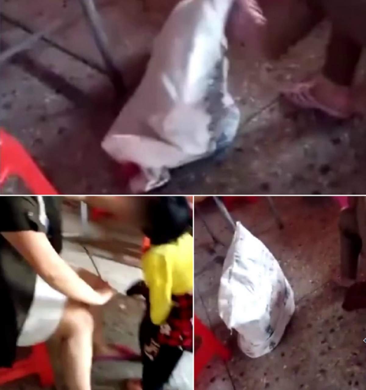 Fetiţă, băgată într-un sac şi torturată de propria bunică! Video cu puternic impact emoţional