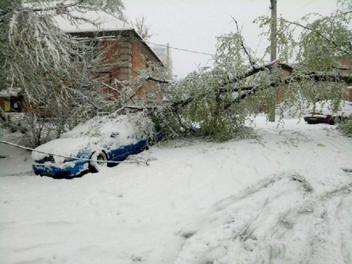 FOTO şi VIDEO / APOCALIPSA în Europa. În Ungaria ninge în toată ţara, mai multe autostrăzi sunt afectate. În Polonia, zăpada are mai mult de jumătate de metru