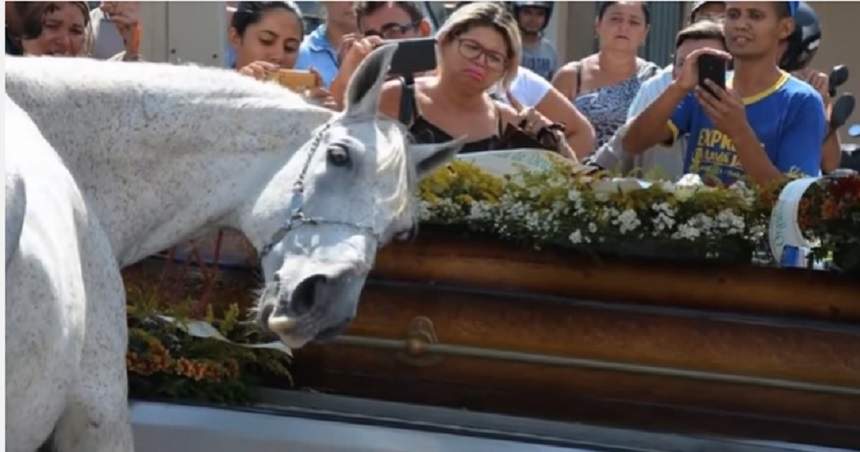 VIDEO / Un cal a fost adus la înmormântarea stăpânului. E copleşitor ce a făcut când s-a apropiat de sicriu