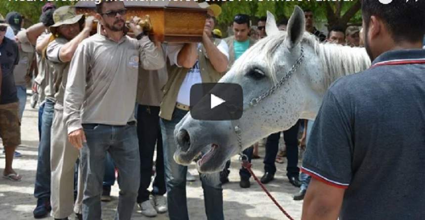 VIDEO / Un cal a fost adus la înmormântarea stăpânului. E copleşitor ce a făcut când s-a apropiat de sicriu