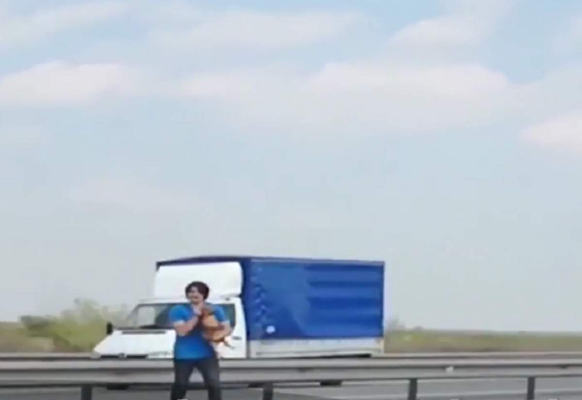 VIDEO / Emoționant! Un medic român și-a riscat viața pe o autostradă din Anglia pentru a salva un câine