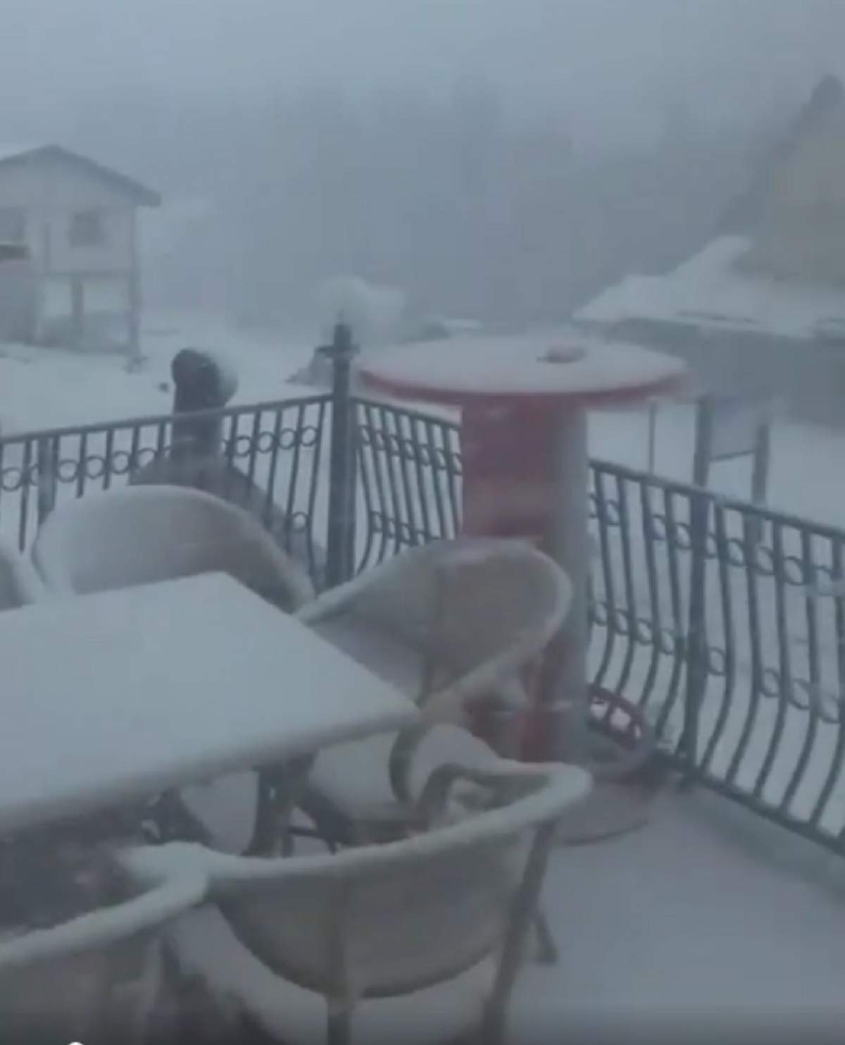 VIDEO / Iarnă în Aprilie! La Rânca a nins cu fulgi mari