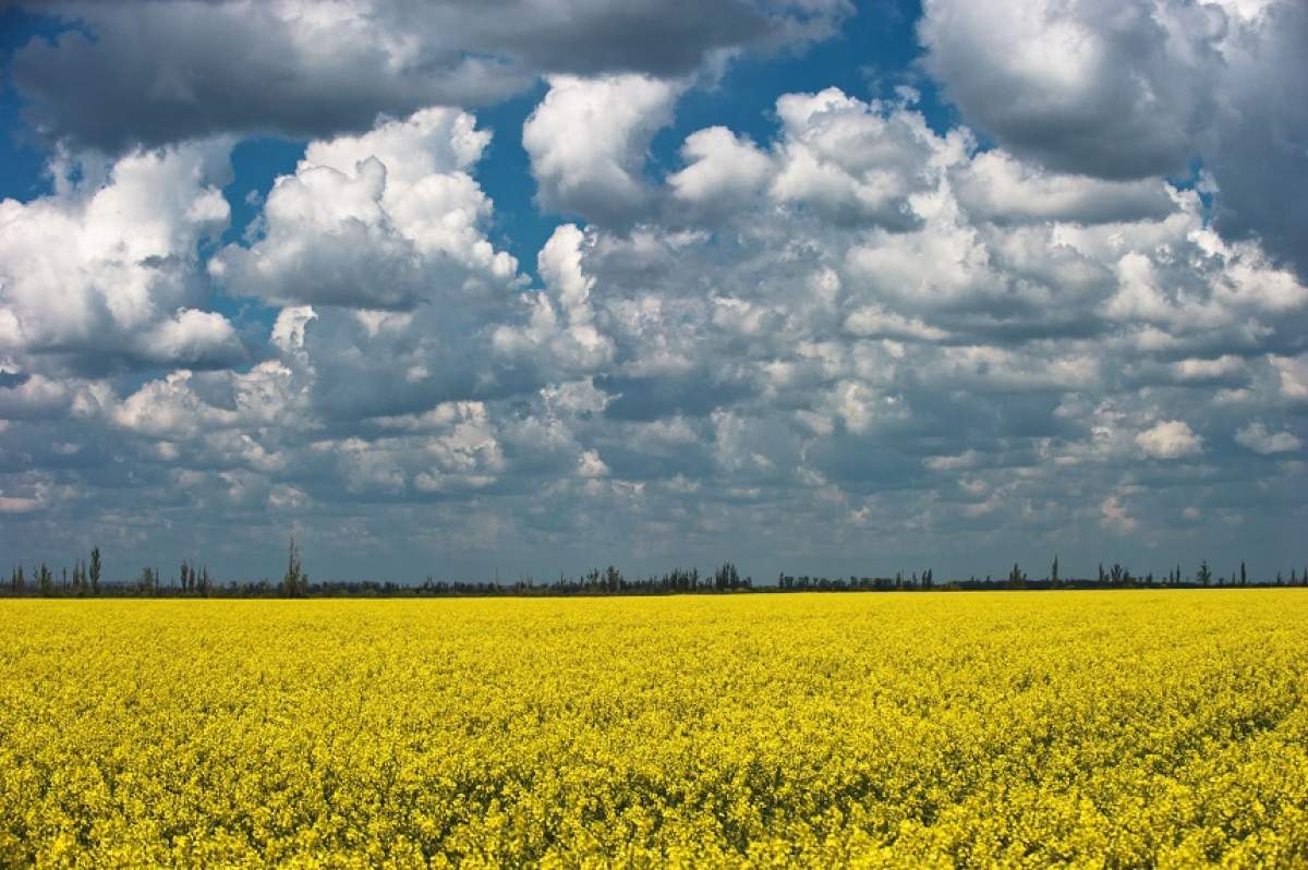 Prognoza meteo pentru următoarele două săptămâni! Cum va fi vremea în toată ţara