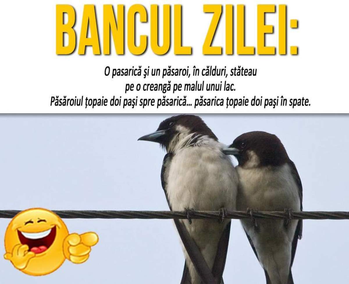 BANCUL ZILEI: "O pasarică şi un păsaroi, în călduri... "