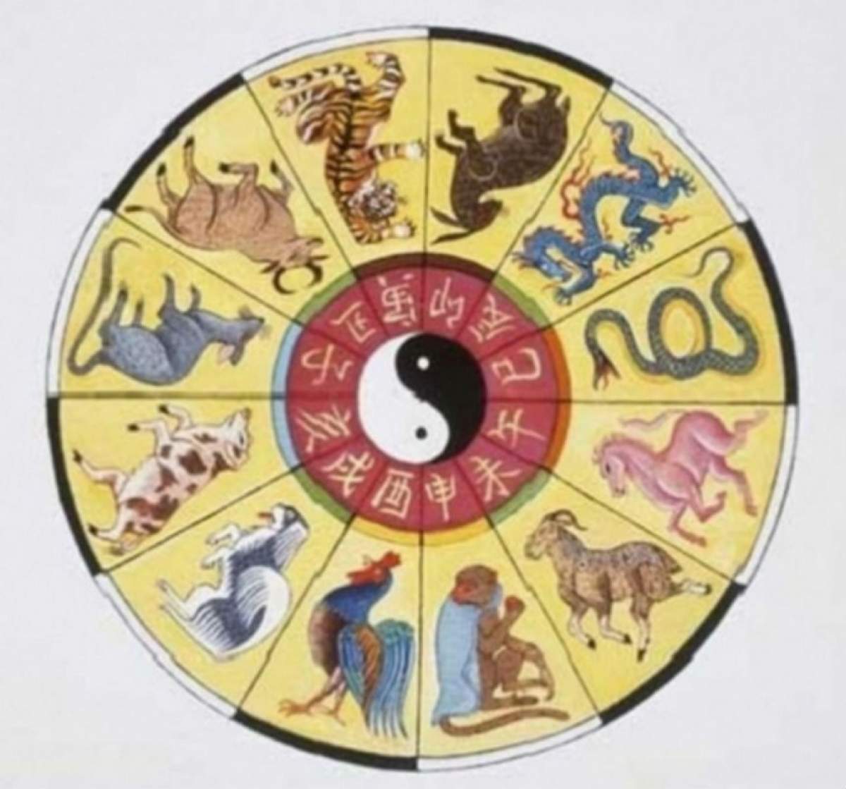 VIDEO / Două dintre semnele zodiacului chinezesc, FAVORIZATE în luna mai! Vezi ce ţi-au pregătit astrele