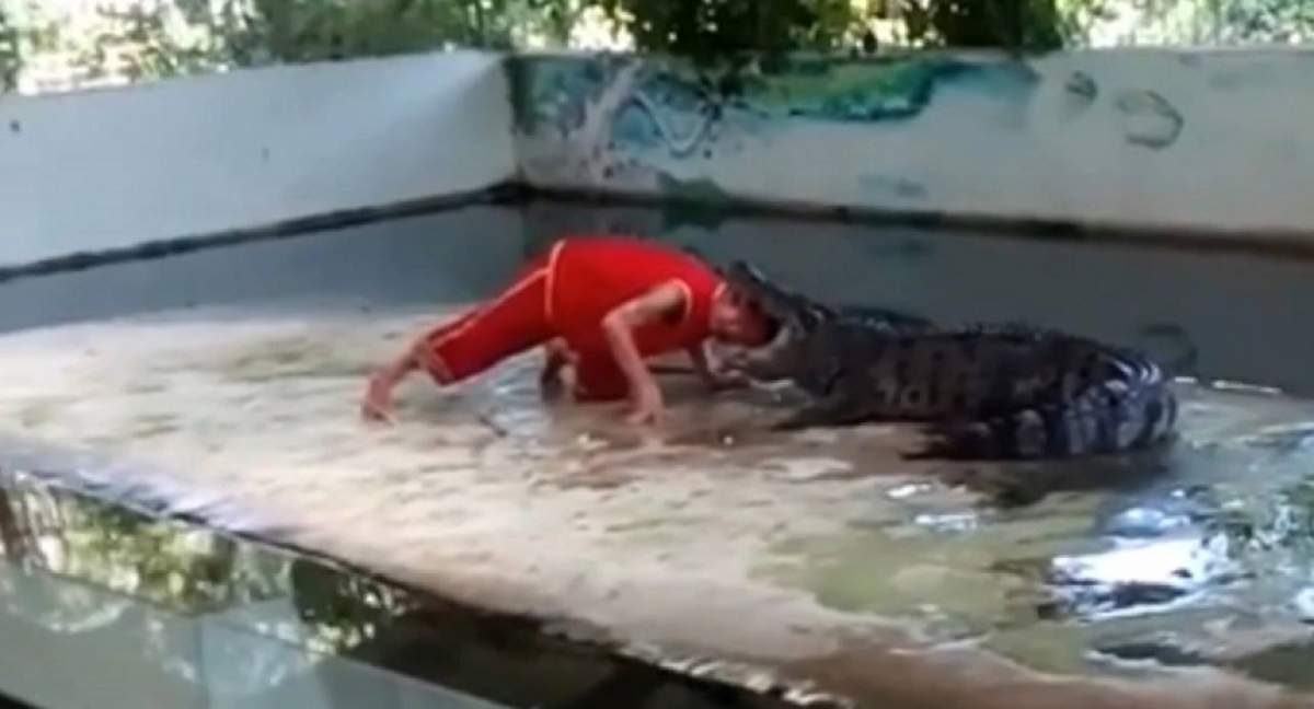 VIDEO / Și-a băgat capul în gura unui crocodil! Ce a urmat la câteva secunde este ȘOCANT