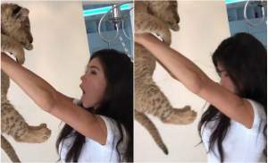 VIDEO / Un model de lenjerie intimă a pățit-o grav! Un pui de leu i-a urinat fix în gură