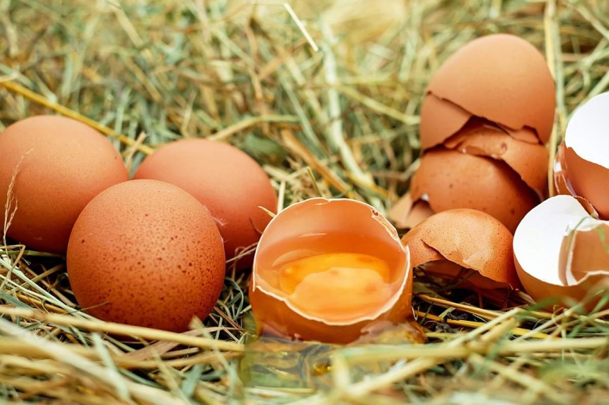 ÎNTREBAREA ZILEI: Ce se întâmplă în organismul tău dacă mănânci des ouă?