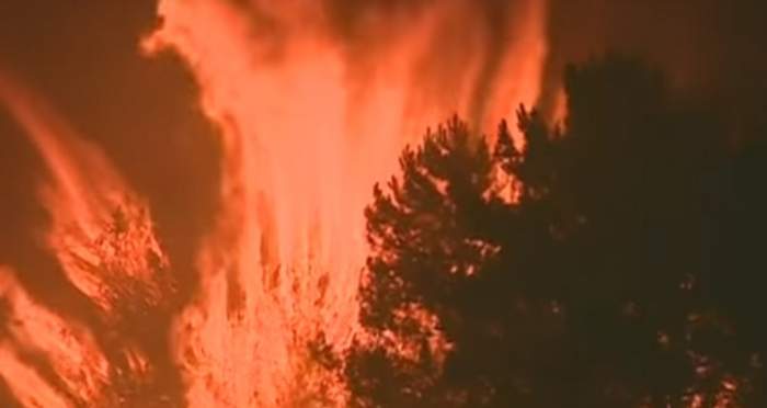 VIDEO / Incendiu uriaş în Portugalia! Cel puţin 43 de oameni au murit