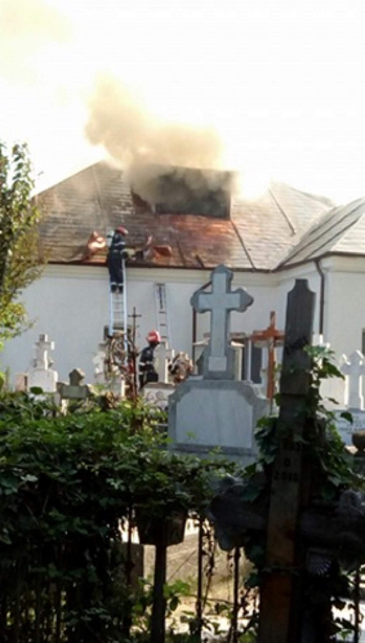 FOTO / Incendiu la cimitirul din Cernica! Pompierii acționează cu 4 autospeciale
