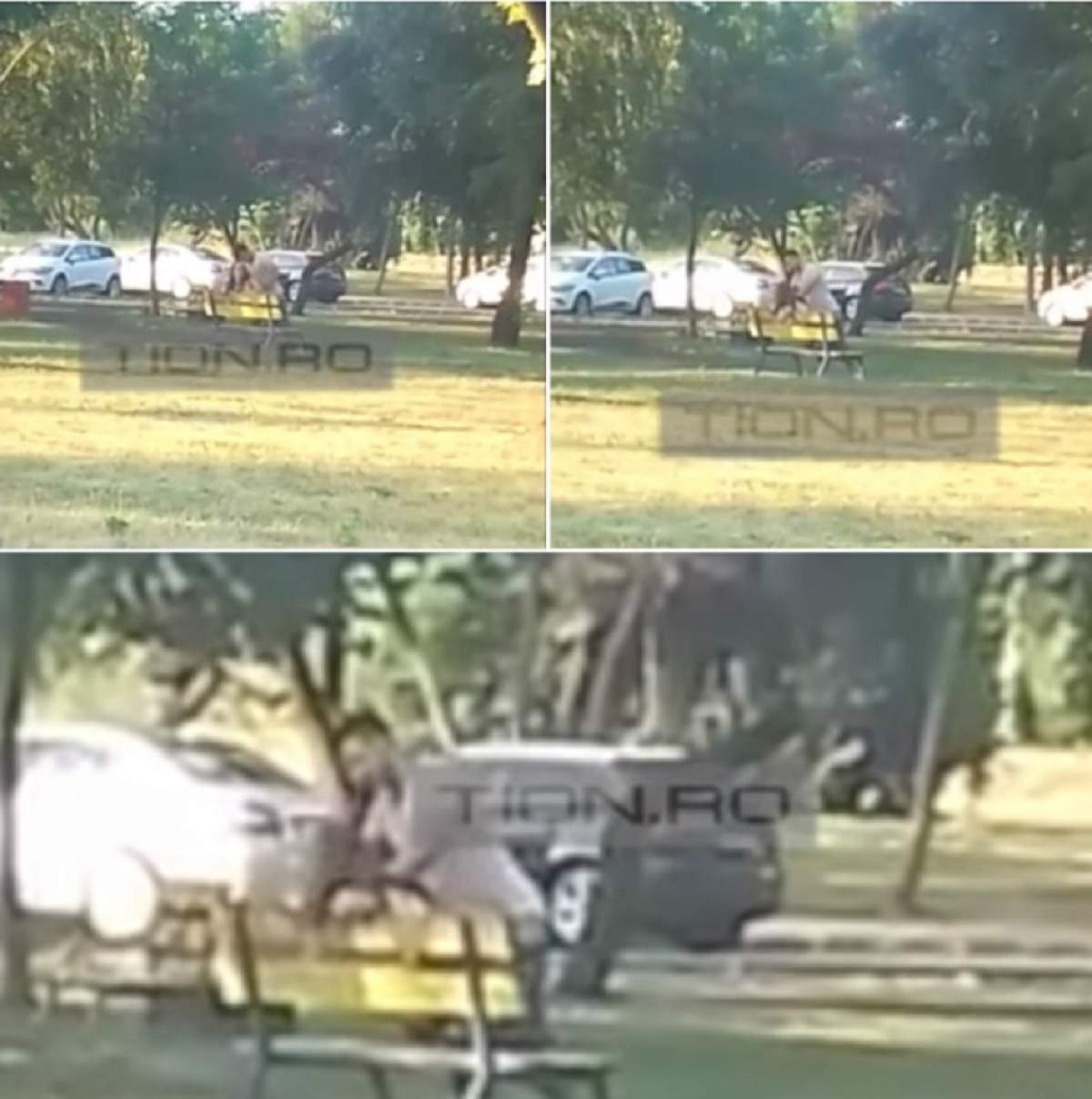 VIDEO / Sex în parc! Doi tineri au fost surprinşi în timp ce dădeau frâu liber hormonilor în văzul tuturor, în Timişoara