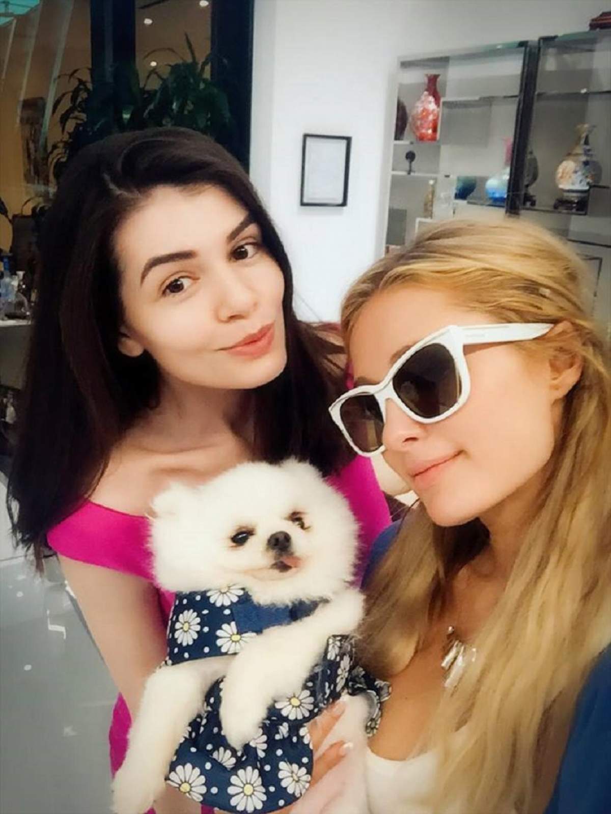 VIDEO / Monica Gabor a dat lovitura! Românca noastră a început afacerile cu Paris Hilton