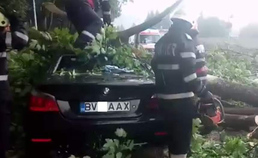 FOTO / Accident grav la Braşov! Un copac a căzut peste o maşină în care se aflau trei persoane