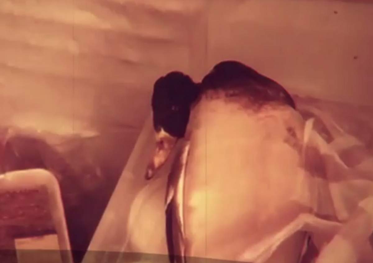 VIDEO / Descoperiri şocante la două terase din Mamaia! Inspectorii au găsit într-un congelator o raţă cu fulgi cu tot