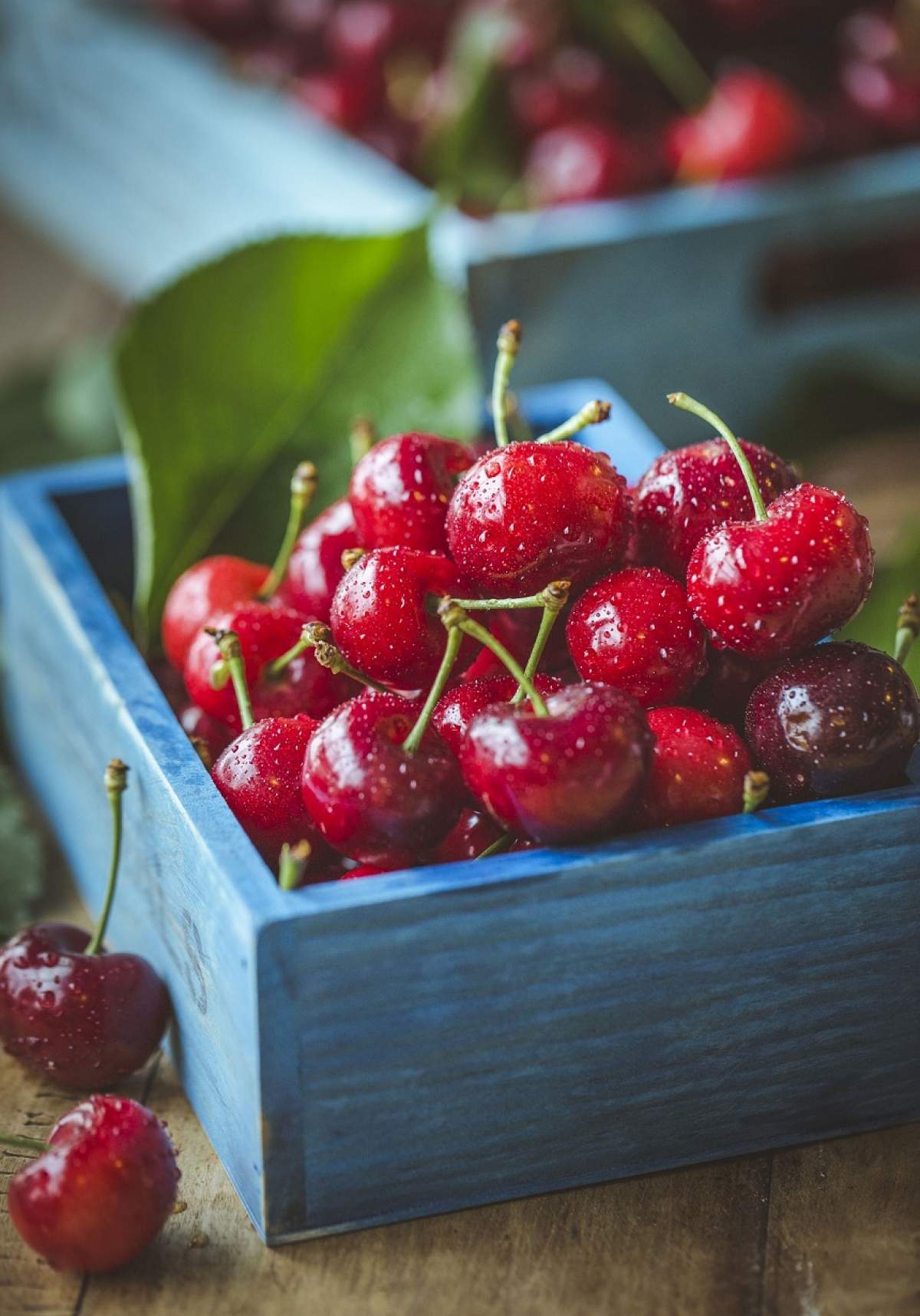 ÎNTREBAREA ZILEI: Cât de benefică este limonada cu cireşe?