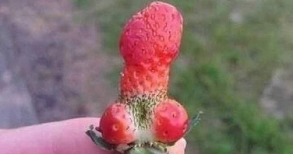 GALERIE FOTO / Legume și fructe ciudate care arată ca altceva! Ai curaj să privești?