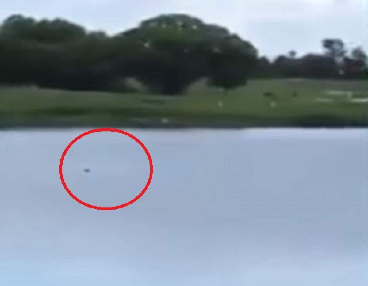 VIDEO / Au văzut un om că se îneacă și au izbucnit în râs. E șocant ce au putut să facă: ”Cred că a murit”