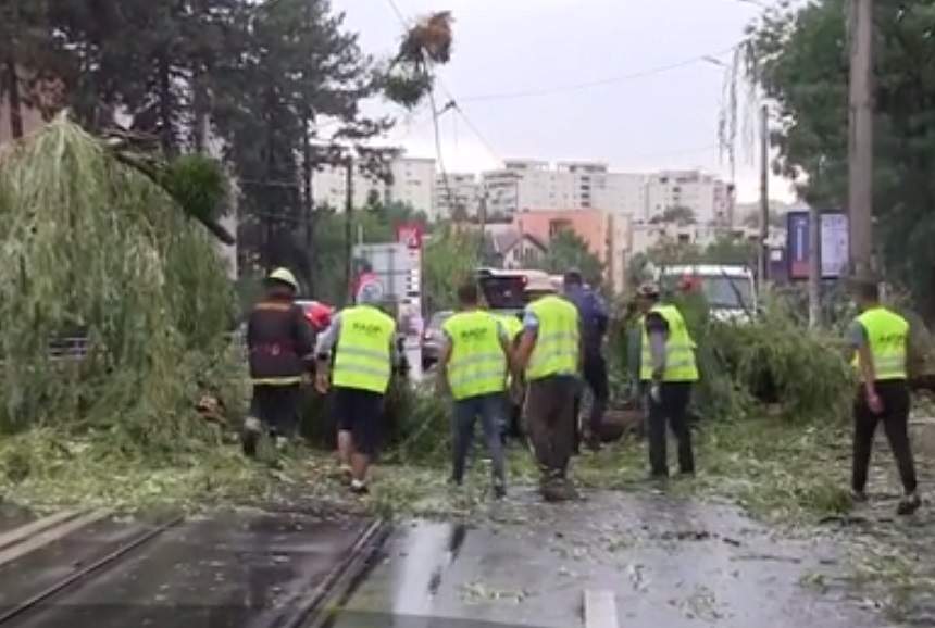 VIDEO / O femeie din Brăila a murit după ce un copac s-a prăbuşit peste maşina în care se afla cu soţul ei! Ce s-a întâmplat cu bărbatul