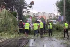VIDEO / O femeie din Brăila a murit după ce un copac s-a prăbuşit peste maşina în care se afla cu soţul ei! Ce s-a întâmplat cu bărbatul
