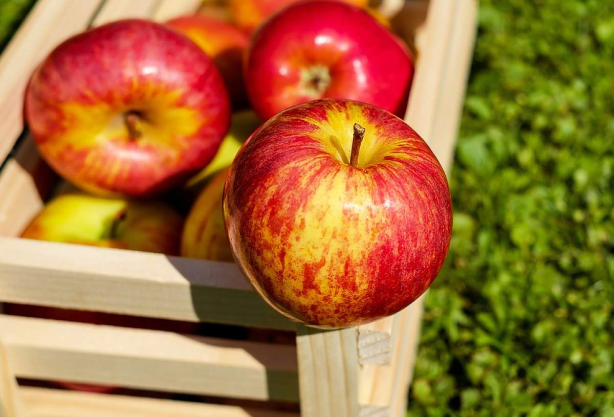 ÎNTREBAREA ZILEI: Ce beneficii are sucul de mere dacă îl bei în fiecare zi?