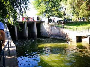 UPDATE: Imagini şocante / Incident îngrijorător în Bucureşti! Un bărbat a murit după ce a sărit în lac