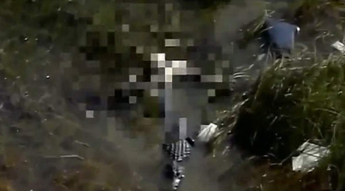 VIDEO / Pilot, mâncat de aligatori, după ce s-a prăbuşit avionul. Imagini ŞOCANTE