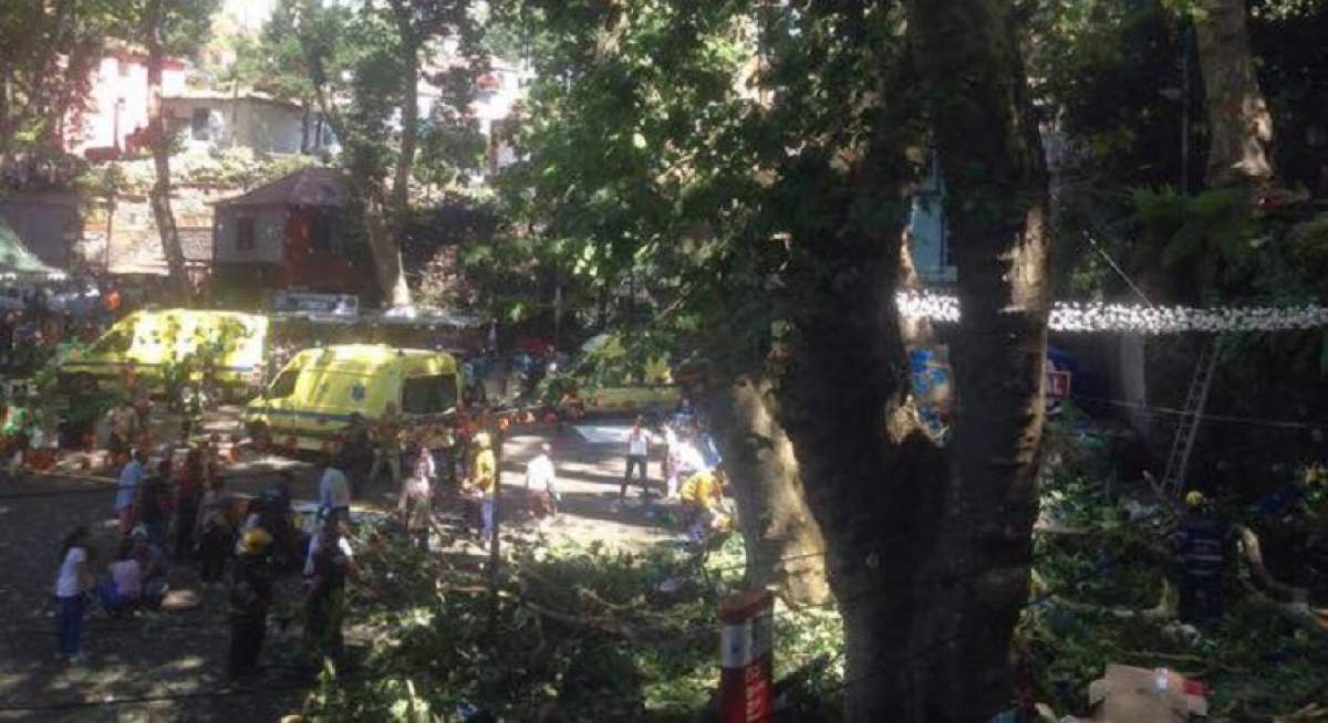 FOTO / Tragedie în timpul unui eveniment religios! 11 persoane au murit după ce un copac s-a prăbuşit peste ele