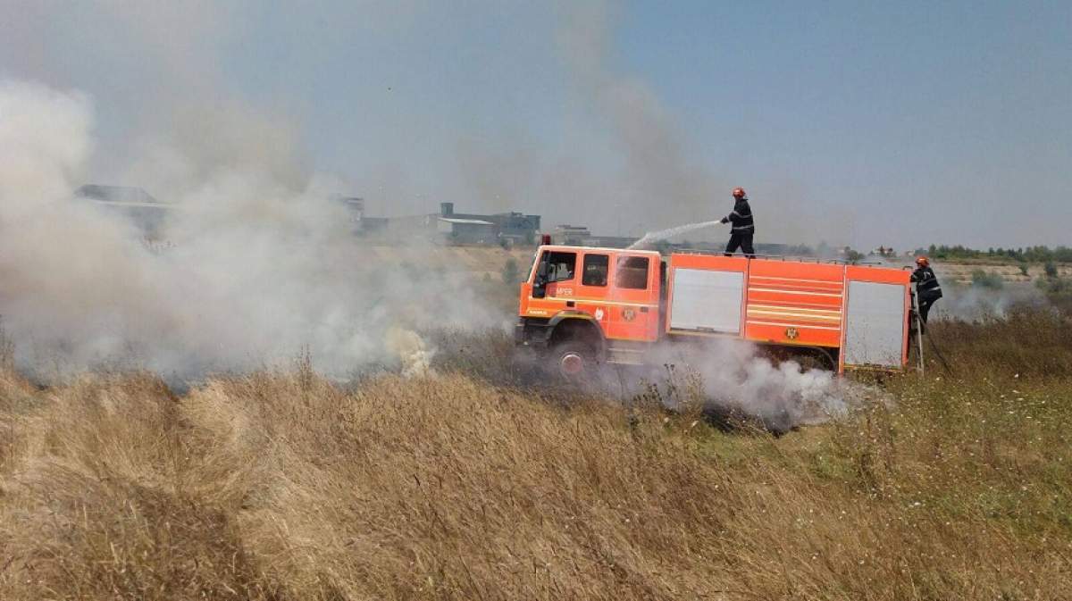 FOTO / Incendiu de vegetaţie în Delta Văcăreşti! Pompierii au intervenit de urgenţă