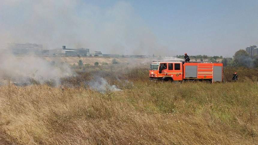 FOTO / Incendiu de vegetaţie în Delta Văcăreşti! Pompierii au intervenit de urgenţă