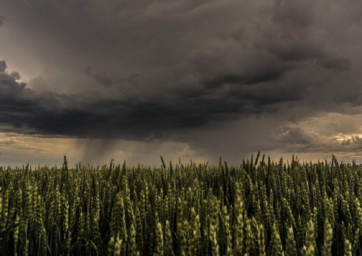 PROGNOZA METEO pe două săptămâni! Se anunţă vreme rece în cea mai mare parte a ţării