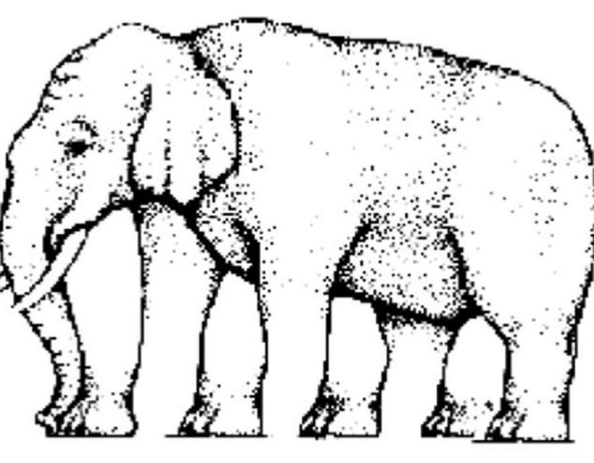 Câte picioare are elefantul din imagine? Nimeni nu găseşte răspunsul din prima