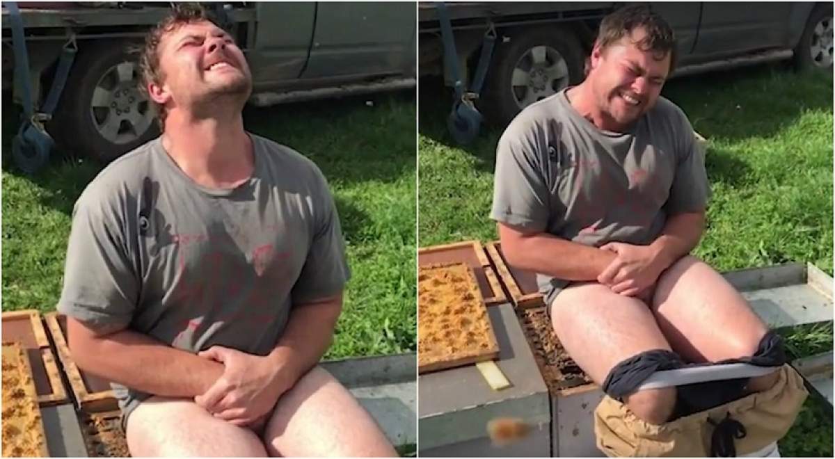 VIDEO / Şi-a dat pantalonii jos şi s-a aşezat pe un stup de albine pentru 1.000$. Vai de fundul lui!