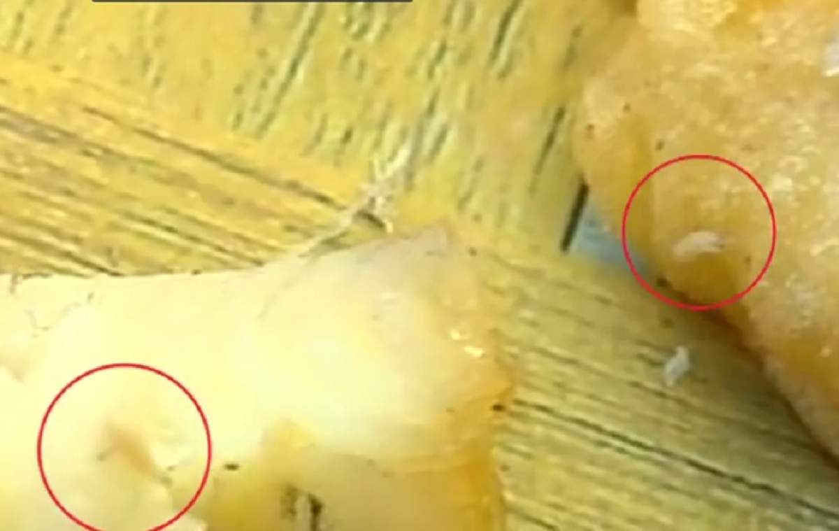 VIDEO / Imagini șocante! Mâncarea vine la pachet cu viermi, pe litoral