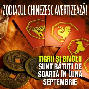 VIDEO / Zodiacul Chinezesc avertizează! Tigrii și Bivolii sunt bătuți de soartă în luna Septembrie