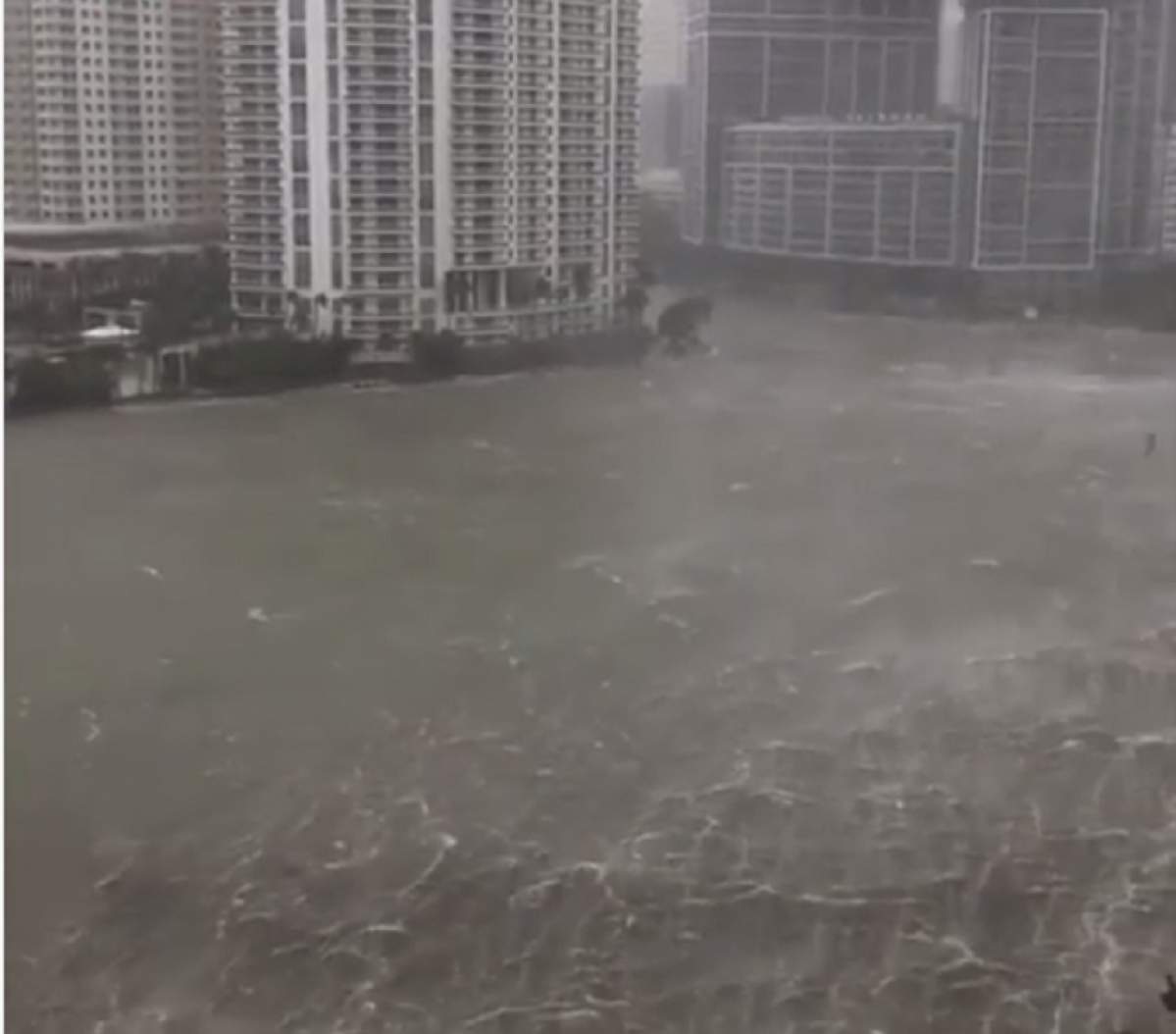 VIDEO / Uraganul Irma, primele victime în Florida! Regizorul român aflat în Miami face LIVE în timpul ciclonului