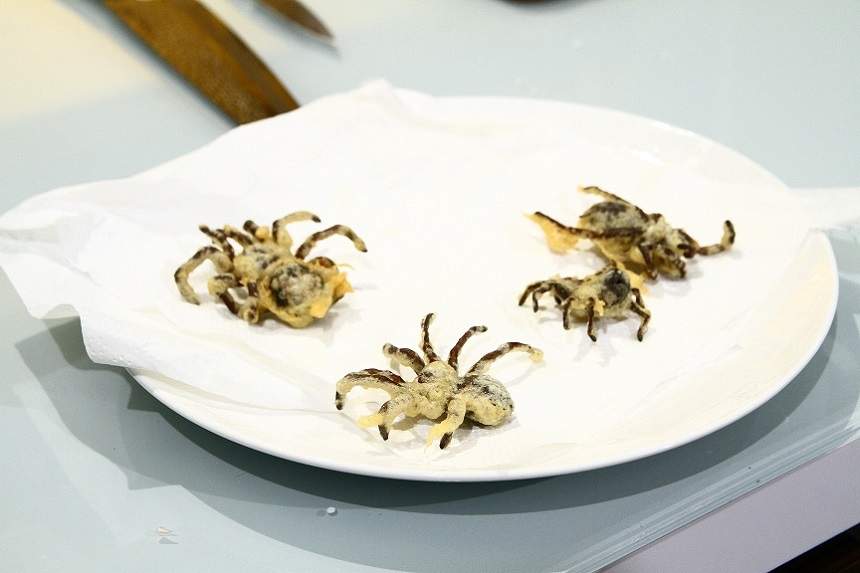 FOTO / Tarantule, viermi și carne de cămilă! Jurații de la ”Chefi la cuțite” au gustat cele mai ciudate preparate