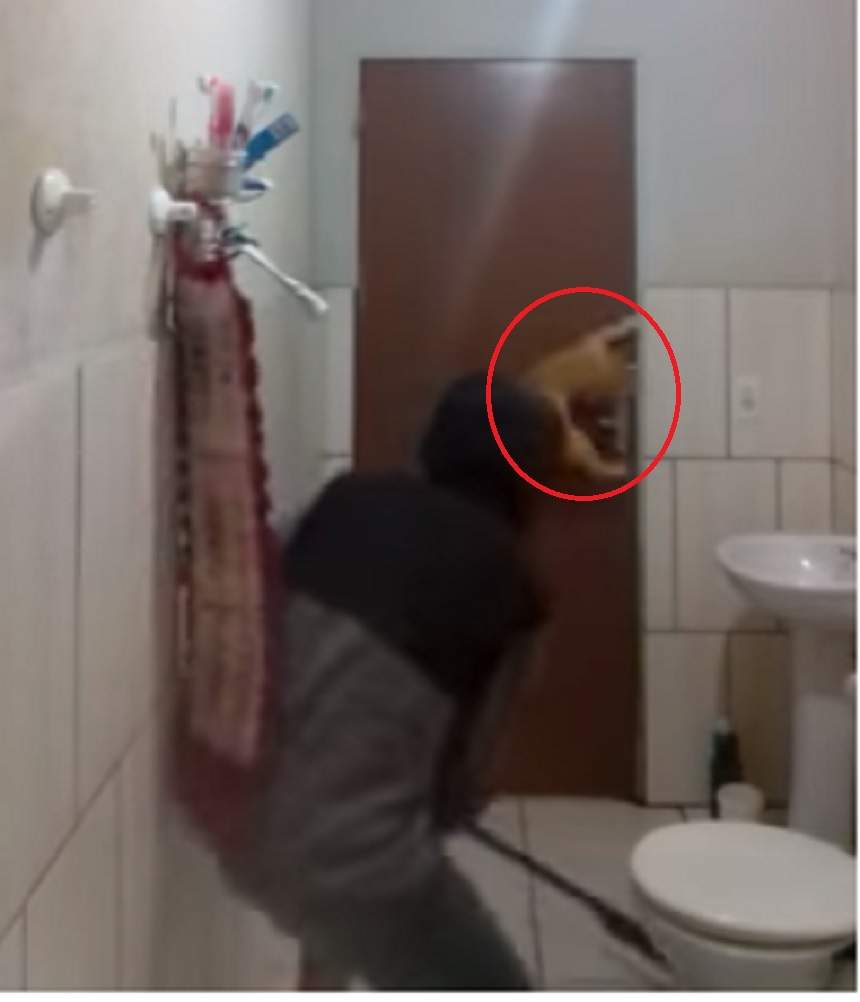 VIDEO / Râzi copios! A vrut să scape de şobolanul din baie, dar a ajuns să fie ea cea care e "vânată"