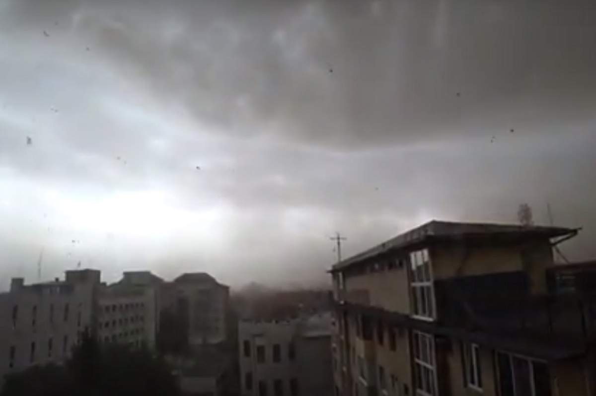 VIDEO / Furtună mare în Timișoara! Cinci oameni au murit, iar alții sunt grav răniți