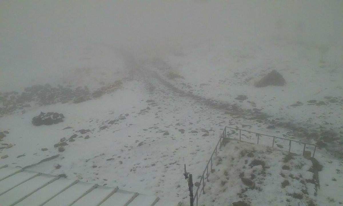 Ninge în România! Stratul de zăpadă a atins deja câţiva centimetri