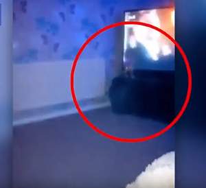 VIDEO / Imagini şocante! Un medium crede că a filmat spiritul "fiului pe care l-a avut într-o viaţă anterioară"