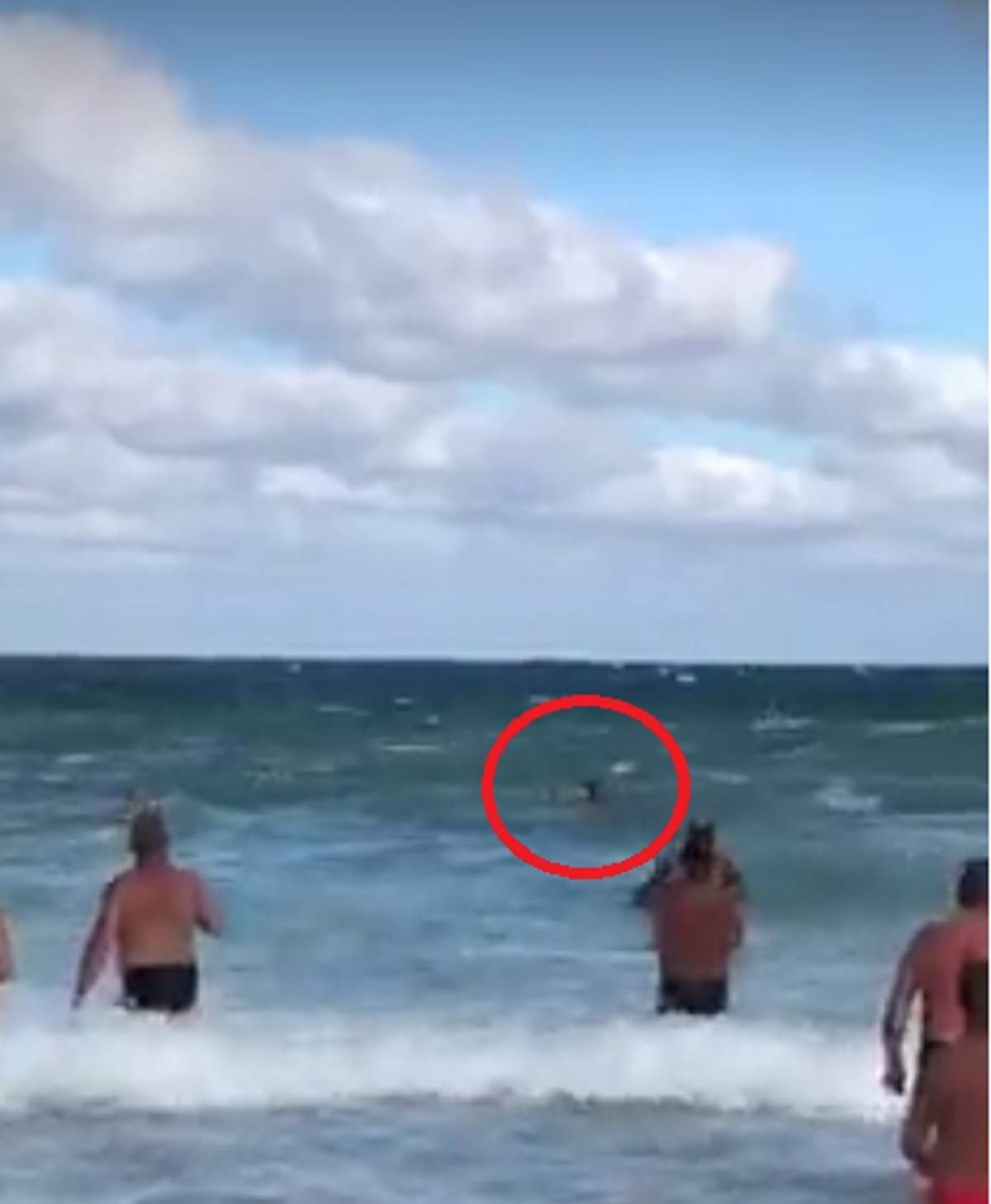 VIDEO / Un bărbat a fost la un pas să se înece în Marea Neagră. Autorităţile au rămas şocate când au văzut cine era