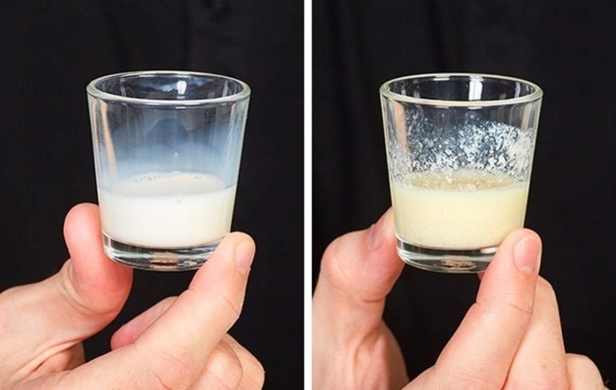 De ce multe mame amestecă laptele cu alcool înainte de a-l da copiilor! Oamenii de știință au confirmat