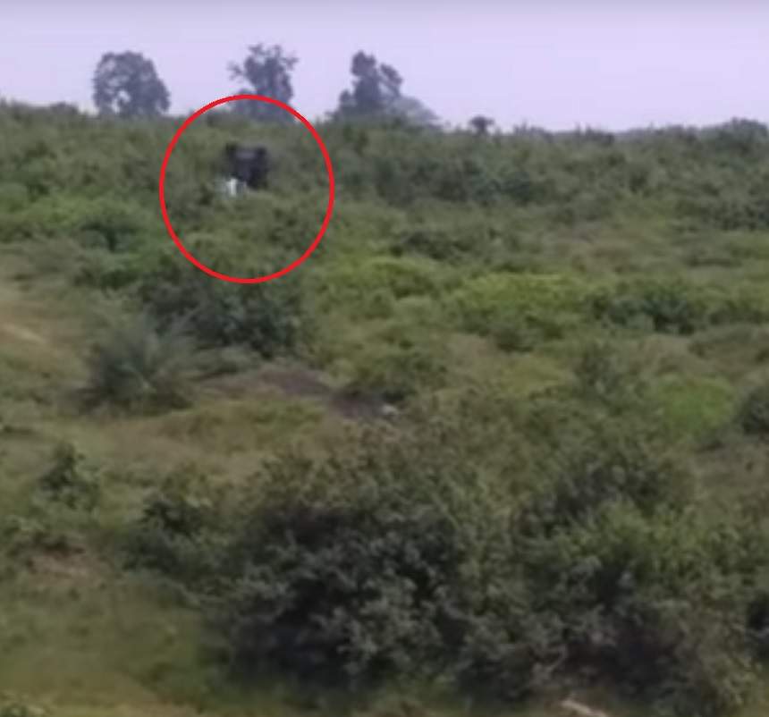 VIDEO / Tragic! A vrut să-şi facă un selfie cu un elefant, dar a murit strivit de el. Martorii au rămas şocaţi