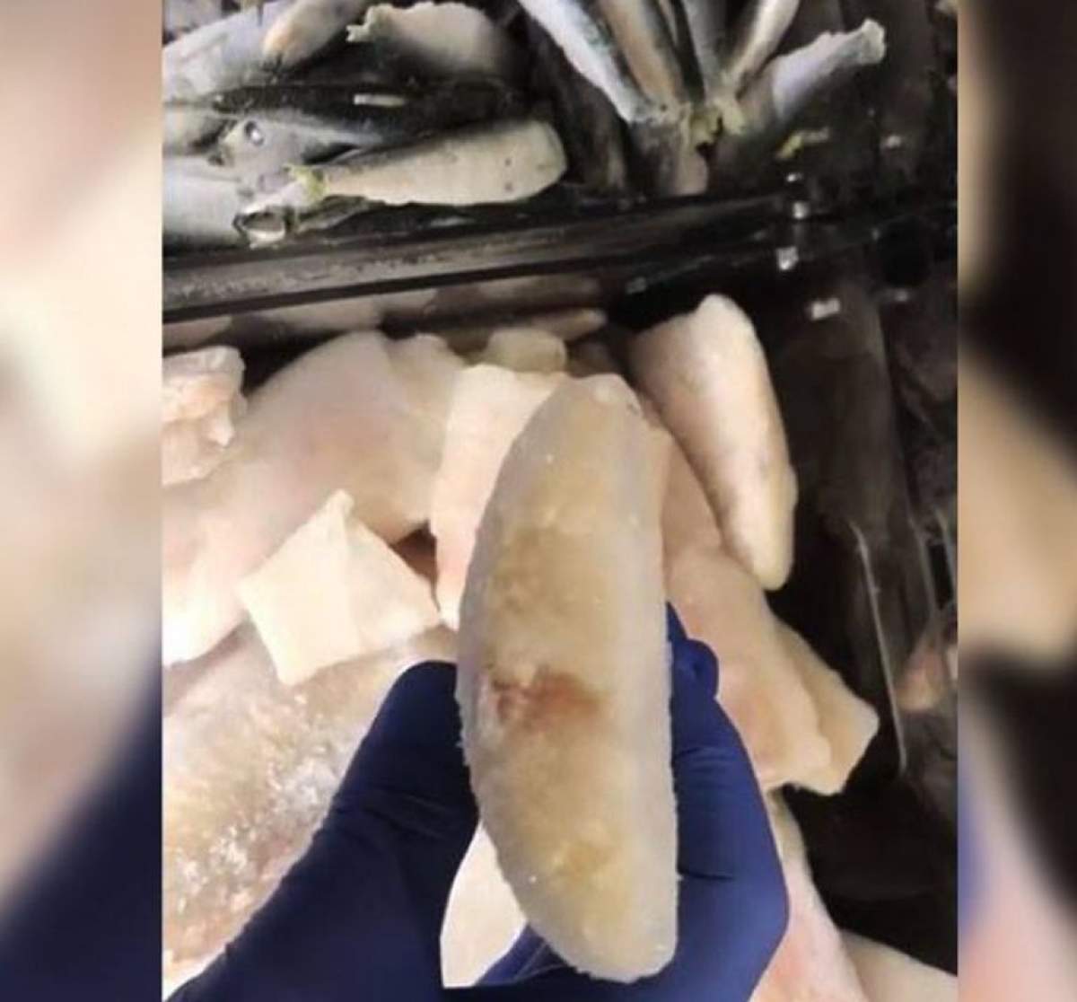 VIDEO / Descoperire şocantă a Protecţiei Consumatorilor într-un hypermarket din Constanţa. Aşa ceva nu ai văzut în viaţa ta