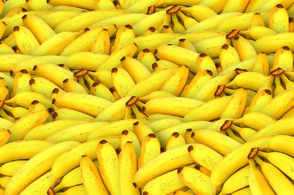 Bananele pe cale de dispariţie! Care este motivul